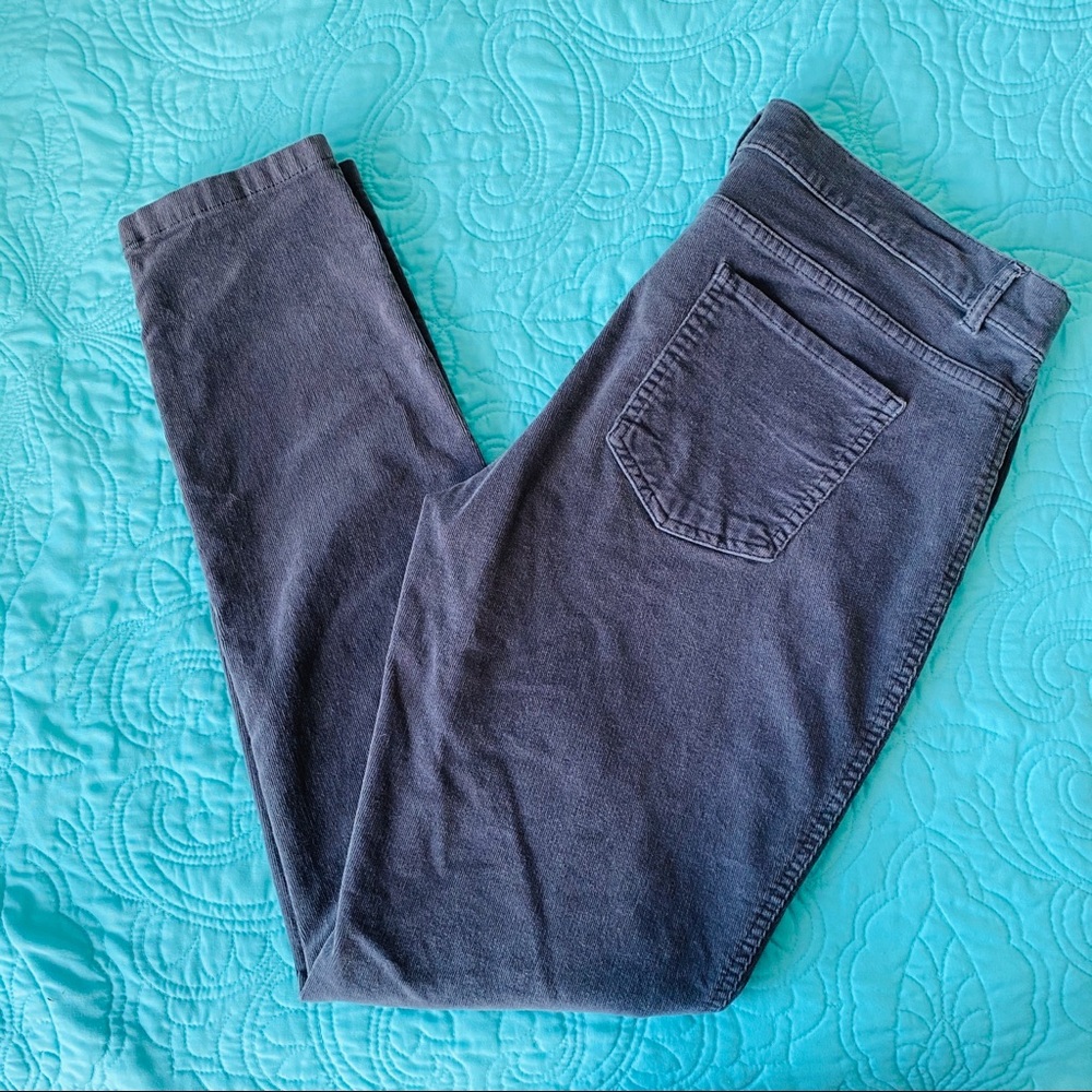 Gray Velvet-Like Slacks